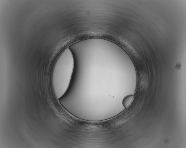 X0000091550494200708171044