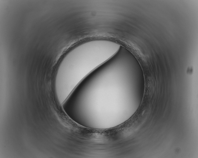 X0000091550496200708171044