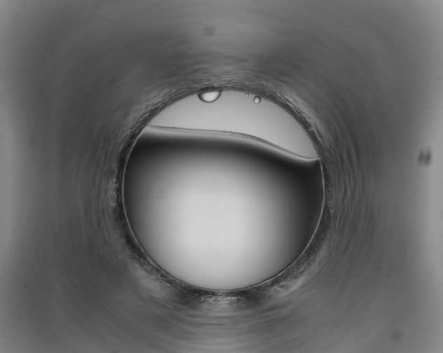 X0000091550497200708171044