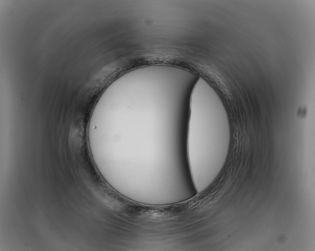 X0000091550498200708171044