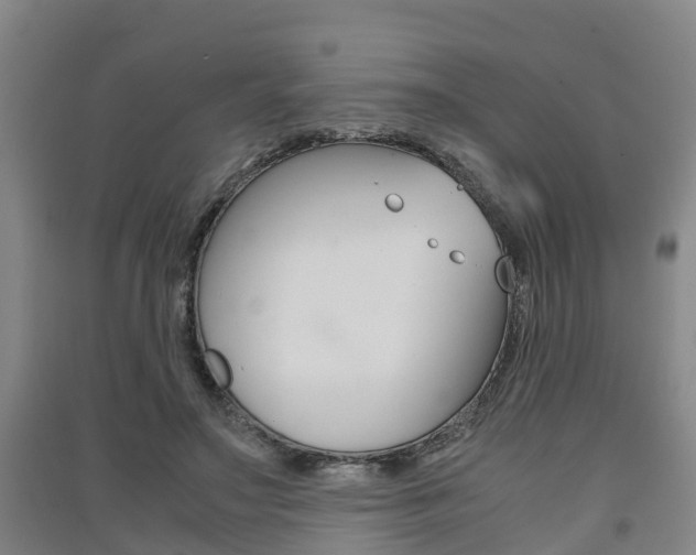 X0000091550499200708171044