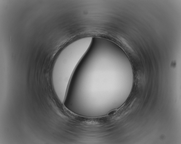 X0000091550500200708171044