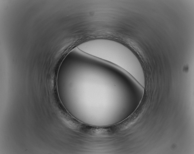 X0000091550501200708171044
