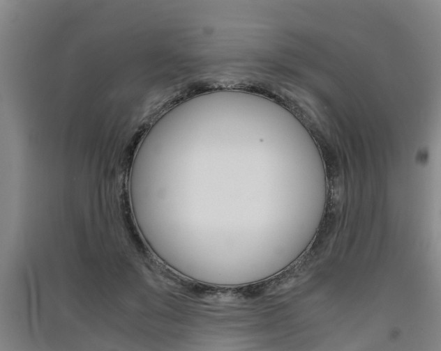 X0000091550503200708171044