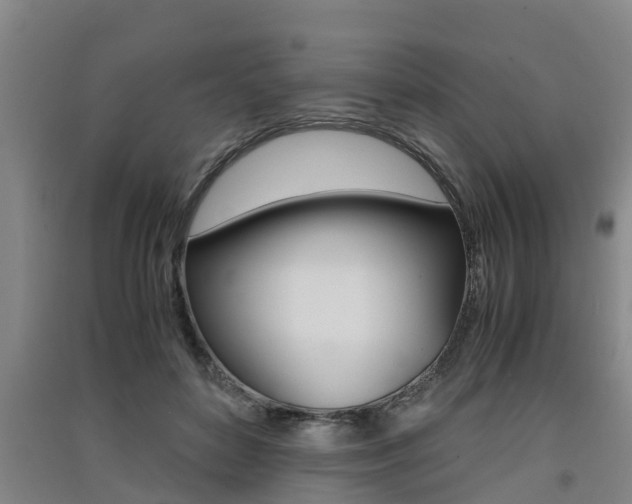 X0000091550504200708171043