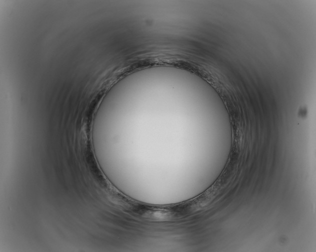 X0000091550506200708171043
