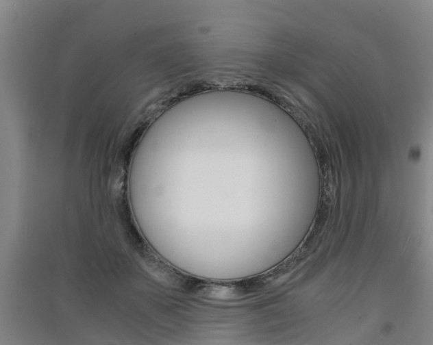 X0000091550507200708171043