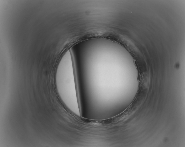 X0000091550509200708171043