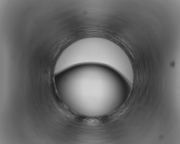 X0000091550512200708171043