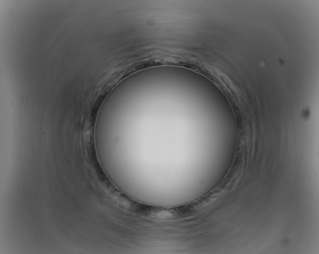 X0000091550513200708171043