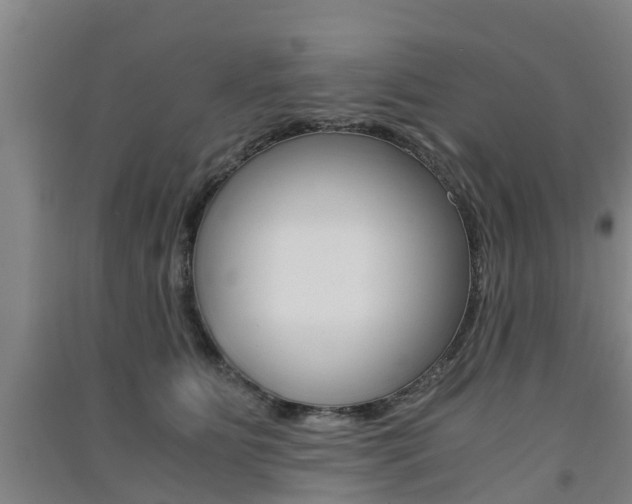 X0000091550515200708171043