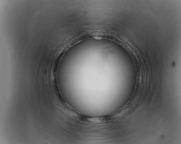 X0000091550516200708171043