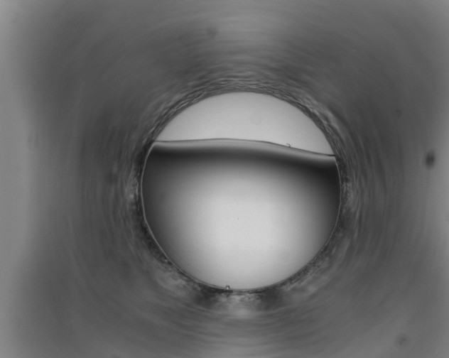 X0000091550517200708171043