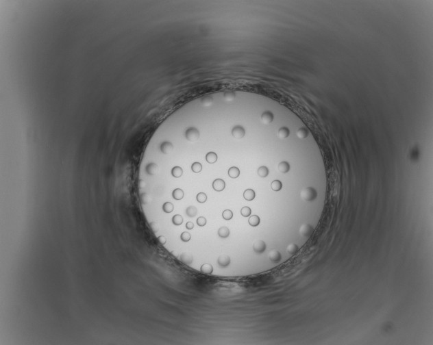 X0000091550519200708171043