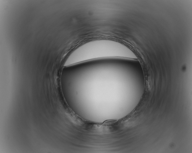 X0000091550520200708171043