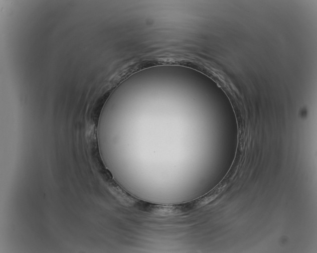 X0000091550521200708171043