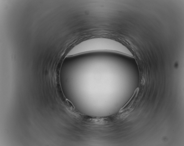 X0000091550524200708171043