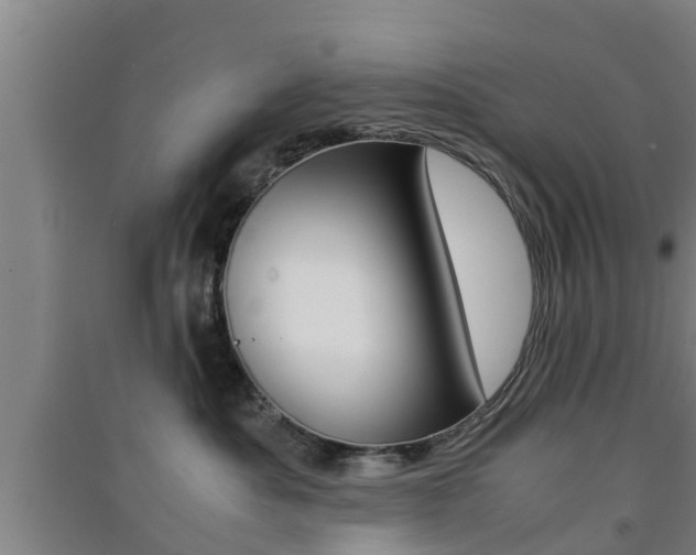 X0000091550525200708171043