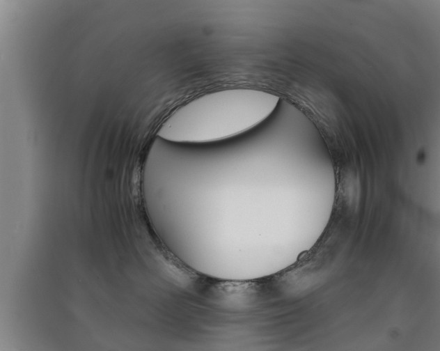 X0000091550526200708171043