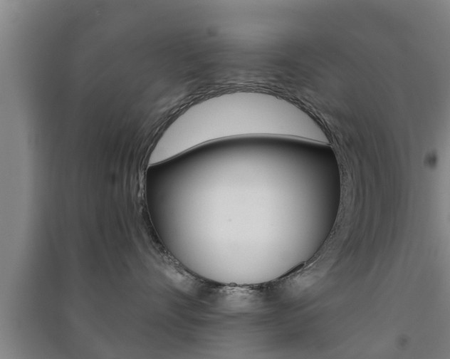 X0000091550528200708171043