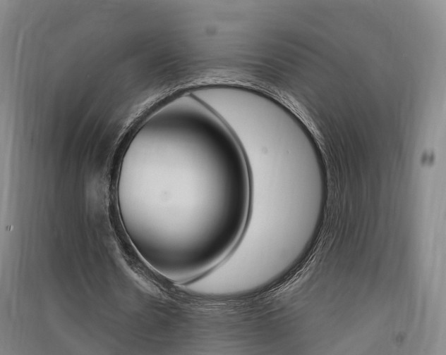 X0000091550530200708171042
