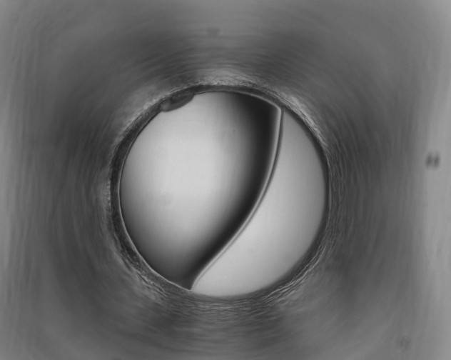 X0000091550531200708171042