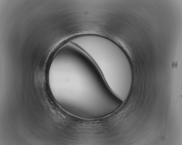 X0000091550532200708171042