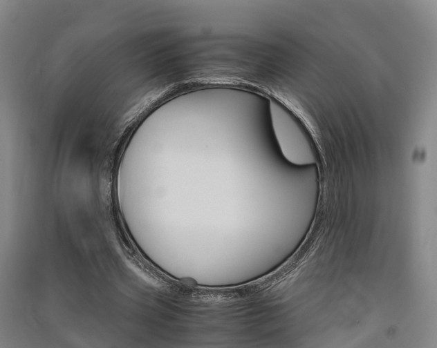 X0000091550533200708171042
