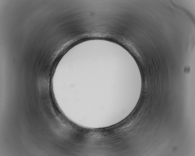 X0000091550534200708171042