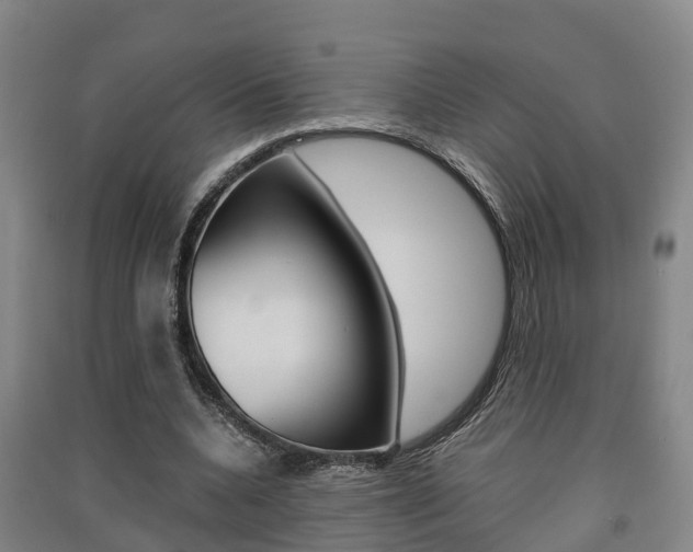 X0000091550536200708171043