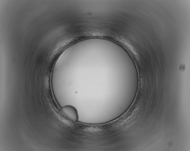 X0000091550537200708171043