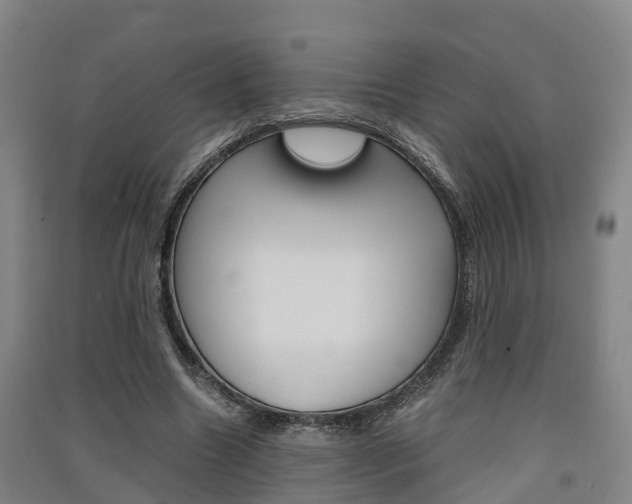 X0000091550538200708171043