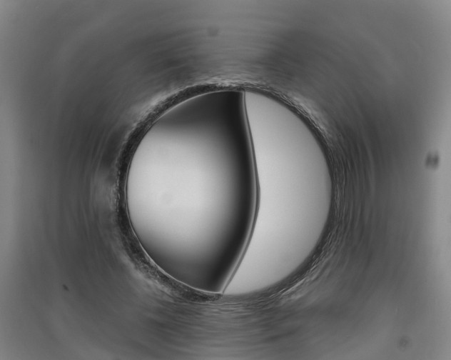 X0000091550540200708171043