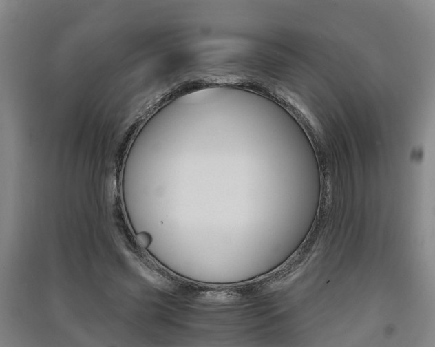 X0000091550541200708171043