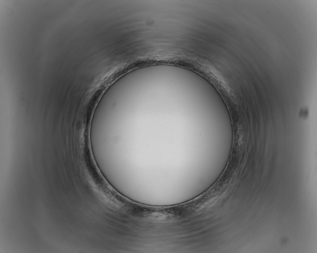 X0000091550542200708171043
