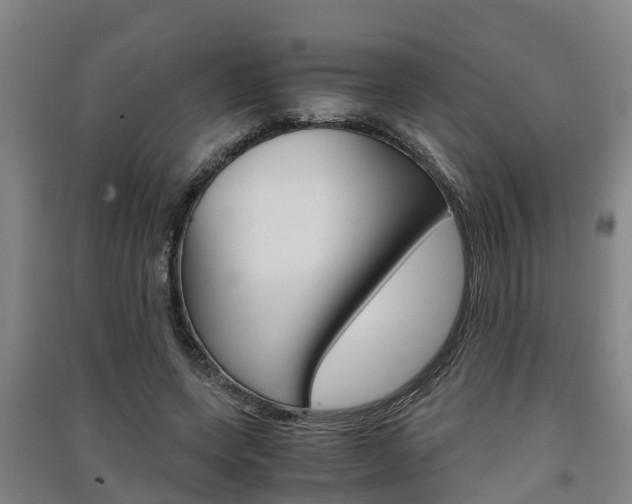X0000091550543200708171043