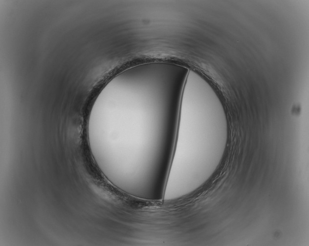X0000091550544200708171043