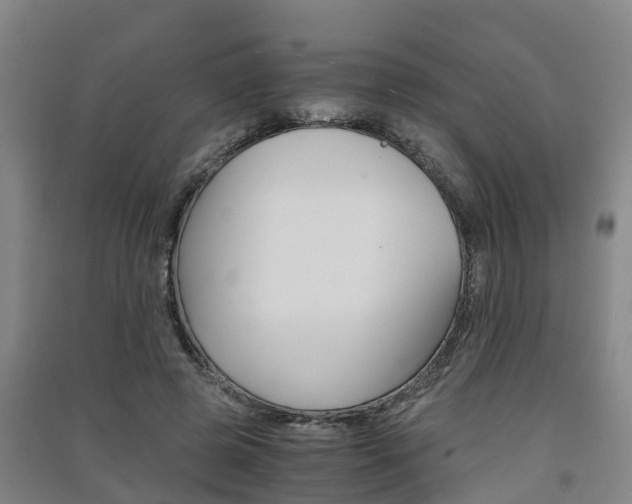 X0000091550545200708171043