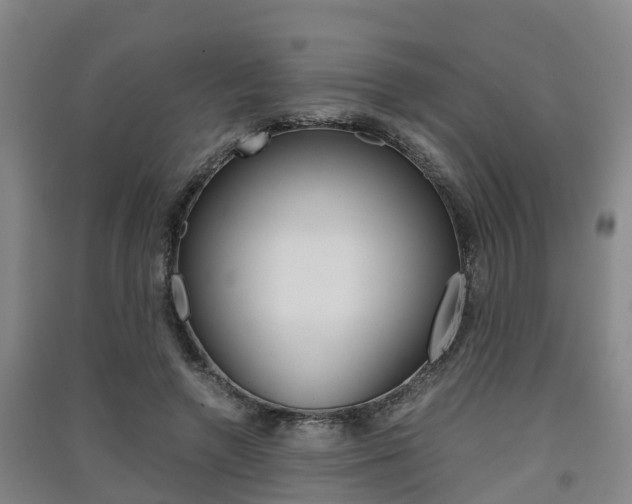 X0000091550546200708171043