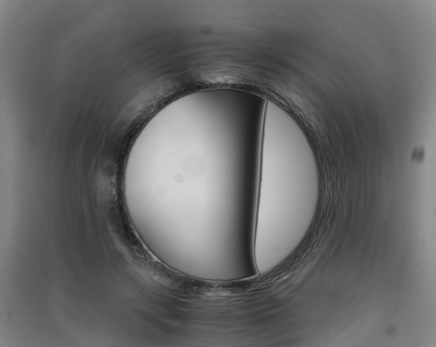 X0000091550547200708171043
