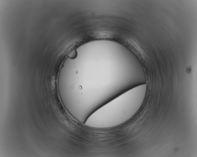X0000091550549200708171043