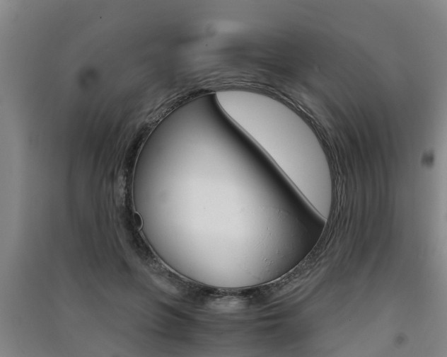 X0000091550551200708171043