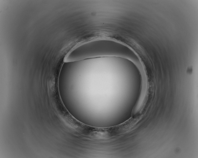 X0000091550552200708171043