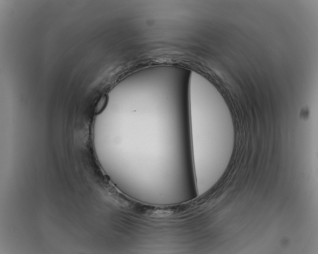 X0000091550554200708171043