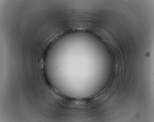X0000091550555200708171043