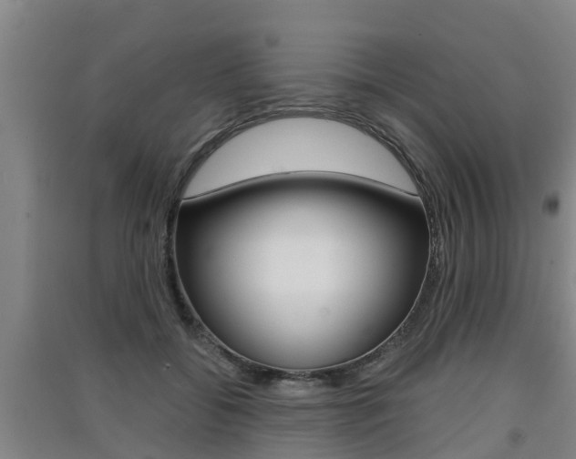 X0000091550556200708171043