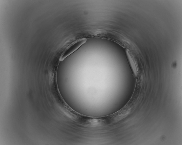 X0000091550558200708171043