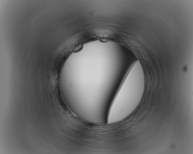 X0000091550559200708171043
