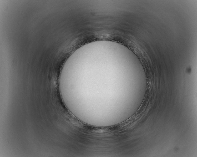 X0000091550561200708171043