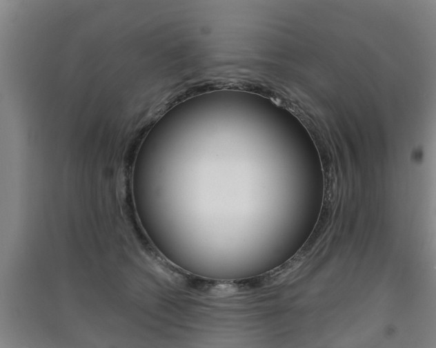 X0000091550562200708171043